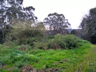 Finca rústica en Logrezana, (Carreño) Asturias, 4.097 m2