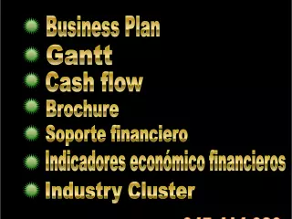 BUSINESS PLAN PARA TU PROYECTO !!