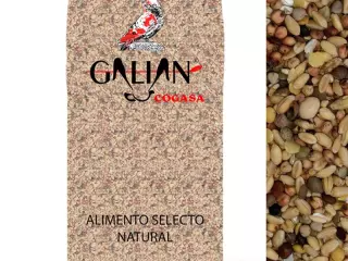 Galian Mixtura Criadero Sin Maíz para Palomos - 20 kg