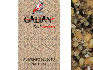 Galian Mixtura para Palomos Mantenimiento N2 - 20 kg