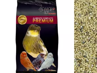 Galian Mixtura Especial para Canarios Aviario Pluma - 20 Kil
