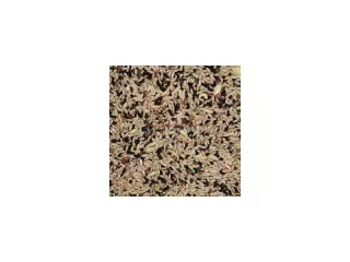 MIXTURA CANARIOS NORMAL BOLSA 5 KGS