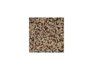 MIXTURA CANARIOS NORMAL SIN AVENA 20KG