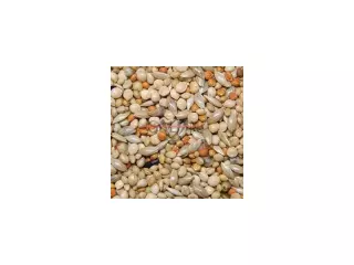 MIXTURA EXOTICOS ESPECIAL BOLSA 1 KG