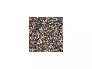 MIXTURA GERMINAR BOLSA 1 KG