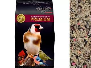 Galian Mixtura Especial para Jilgueros - 20 kg