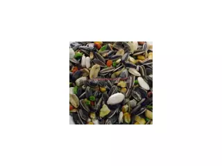MIXTURA LOROS ESPECIAL BOLSA 600 GR