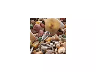 MIXTURA LOROS PROFES. FRUTAS BOLSA 800GR