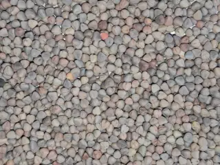 Saco de Yeros Rojos 25kg | Alta Calidad para Aves