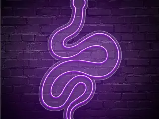 Neón Serpiente