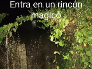 Zamoa.tu gitana.