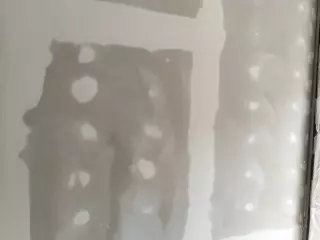 REFORMAS EN GENERAL