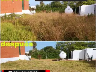 Limpieza terrenos parcelas villas solar