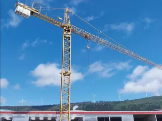 GRÚA TORRE LIEBHERR 100 LC - 6 T