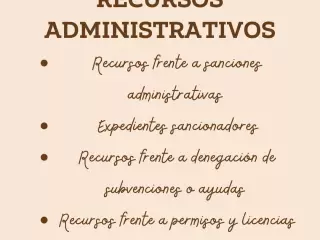 RECURSOS ADMINISTRATIVOS