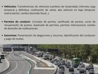TRÁMITES ANTE LA DGT