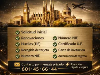 citamaster11007@gmail.com