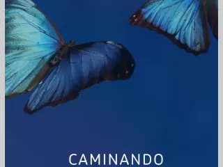 Caminadi juntos; una historia real de aurismo