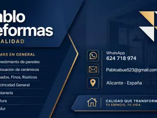 Reformas profesional