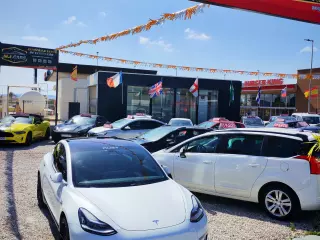 Tesla Model 3 Performance