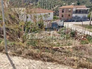 Building Plot en Benamocarra