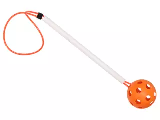 PELOTA CON MANGO