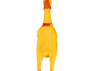 POLLO DE GOMA
