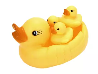 FAMILIA DE PATOS DE GOMA