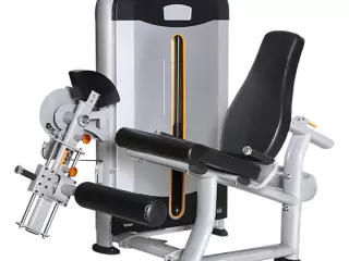 EXTENSIÓN DE QUÁDRICEPS DEPORTIUM