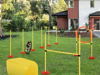 Conjunto 4 Obstáculos de Entrenamiento para Perro Set de Agilidad para Mascotas Estable Altura Ajustable de Aro Amarillo