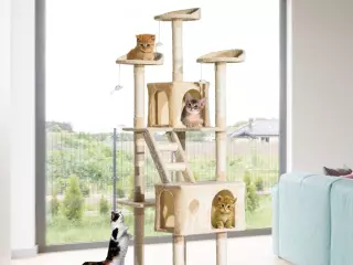 Rascador Gato Árbol para Gatos con Poste de Arañar Múltiples Plataformas Escaleras Cuevas Juguetes Centro de Actividades 60x50x180 cm Beige