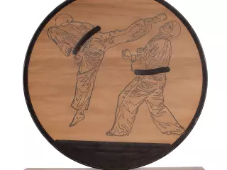 TROFEO FENÓLICO ARTES MARCIALES
