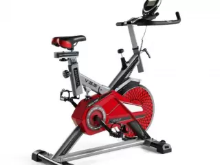 Bicicleta spinning Absolut ECO-827 VOLANTE 21KG