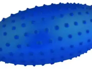 PELOTA MASAJE RUGBY