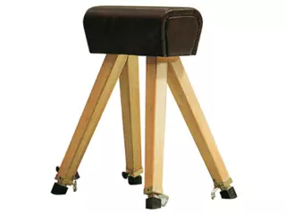 POTRO SENIOR, TAPIZADO SINTÉTICO. PATAS DE HAYA.