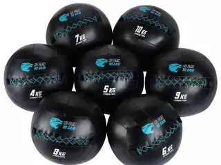 WALL BALL PREMIUM FT BALON MEDICINAL DE 3 A 14 KG