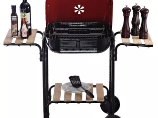 Barbacoa de Carbón Picnic con Estantes de Madera Parrillas Asador BBQ Patio Acampada Multifuncional Parilla de Carbón Vegetal 98x49x81cm con Ruedas