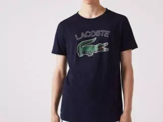 CAMISETA LACOSTE TH9299166