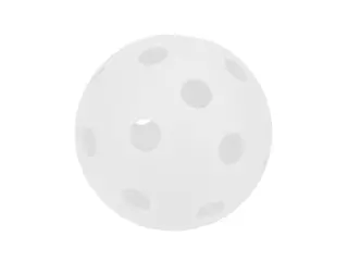 PELOTA PICKLEBALL SCHOOL