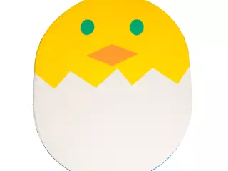 Tatami pollito