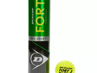 BOTE 4 PELOTAS TENIS DUNLOP FORT ALL COURT TS