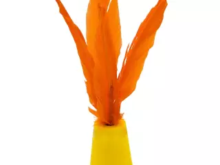 INDIAKA