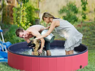 Piscina Rígida tipo Bañera Plegable Ø160x30cm de PVC Antideslizante para Perros Gatos Mascotas Animales Color Rojo y Azul