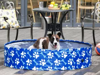 Piscina Plegable para Perros Diámetro Ø140 cm Bañera de Mascotas Portátil de PVC con Fondo Antideslizante para Interiores y Exteriores Azul