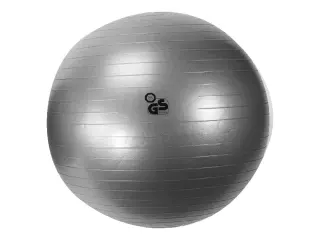 Pelota fitness ø 75 cm. 1450 gr sin hinchador