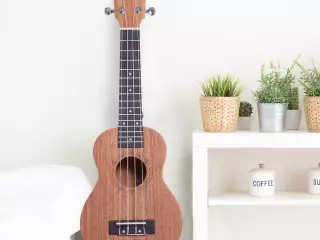 Ukelele Soprano de 21 Pulgada para Principiantes Concierto Hawaiian Cuerdas Aquila de Nylo