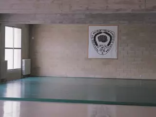 Superficie tatami artes marciales