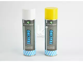 SPRAY MARCADOR PERMANENTE