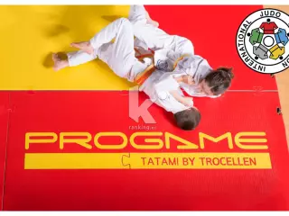 TATAMI OFICIAL EDUCACION TIS JUDO 200 X 100 X 4 CM