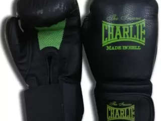 Guantes boxeo MK-2
